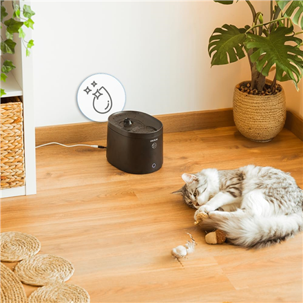 Cecotec | Smart Pet Fountain | Pumba 2500 Refresh | 2.5L | Black