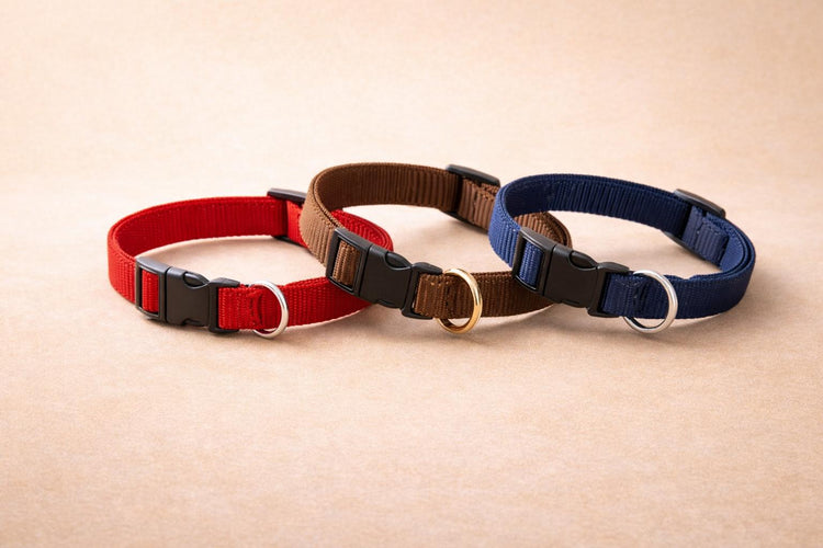 Dog Collars