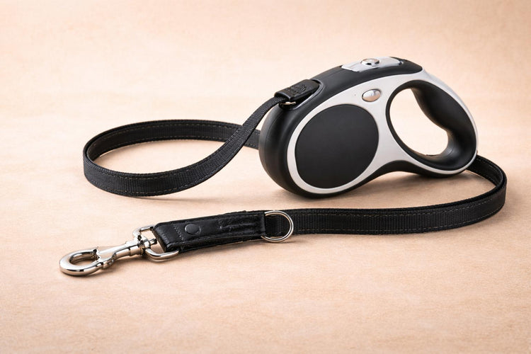 Dog Leashes