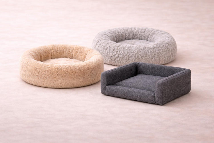 Cat Beds