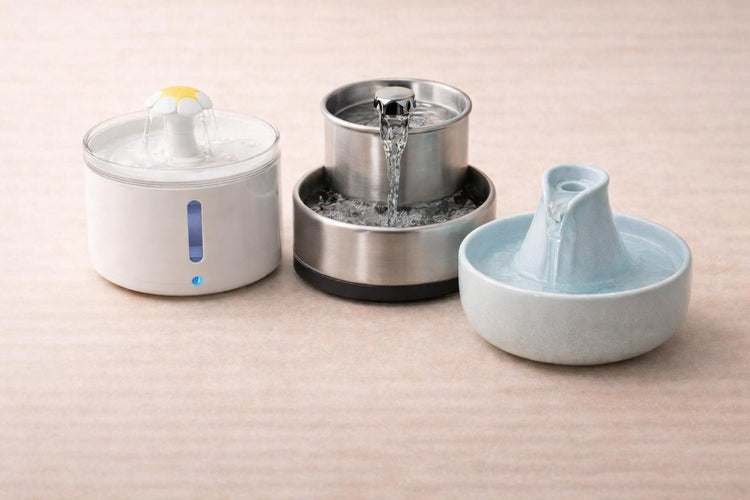 Dog Water Fountains