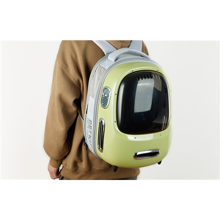 PETKIT Breezy2 Pet Carrier – Green