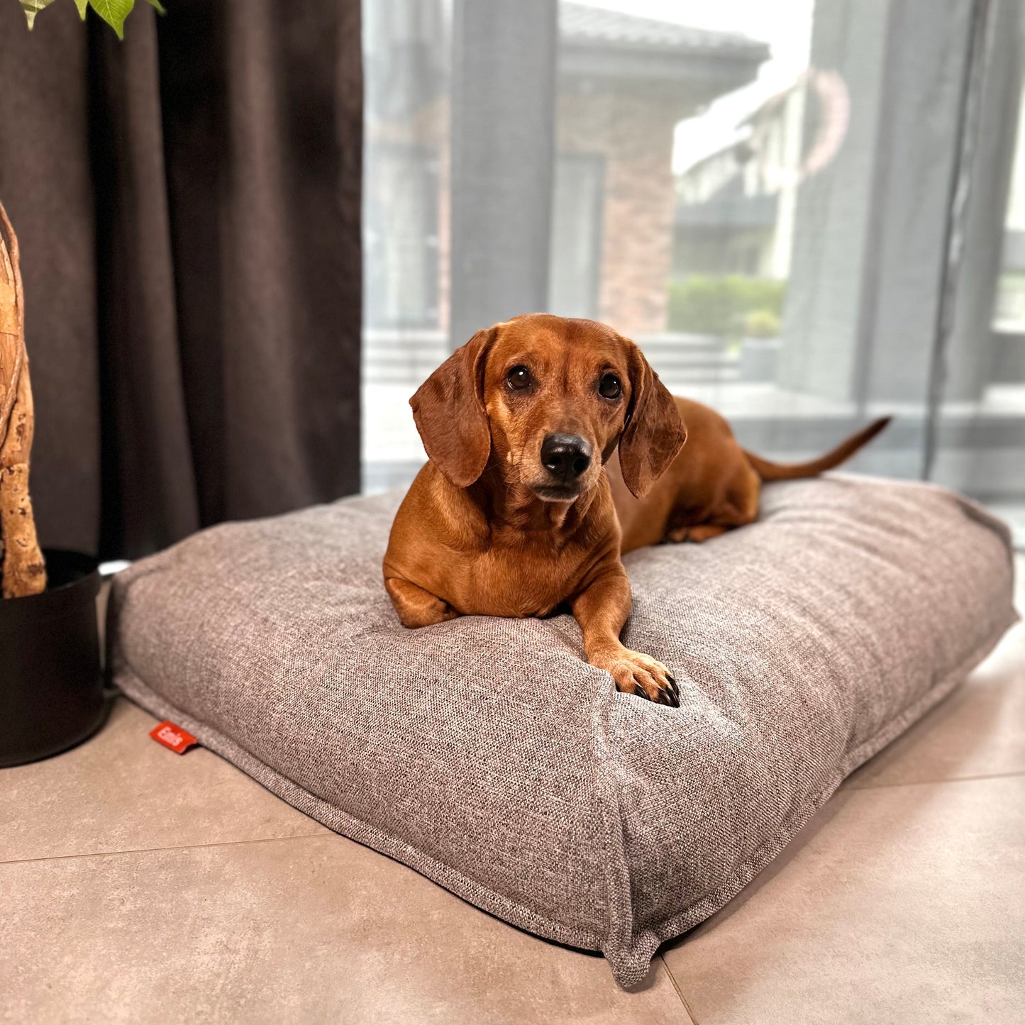 Bailey Pet Bed