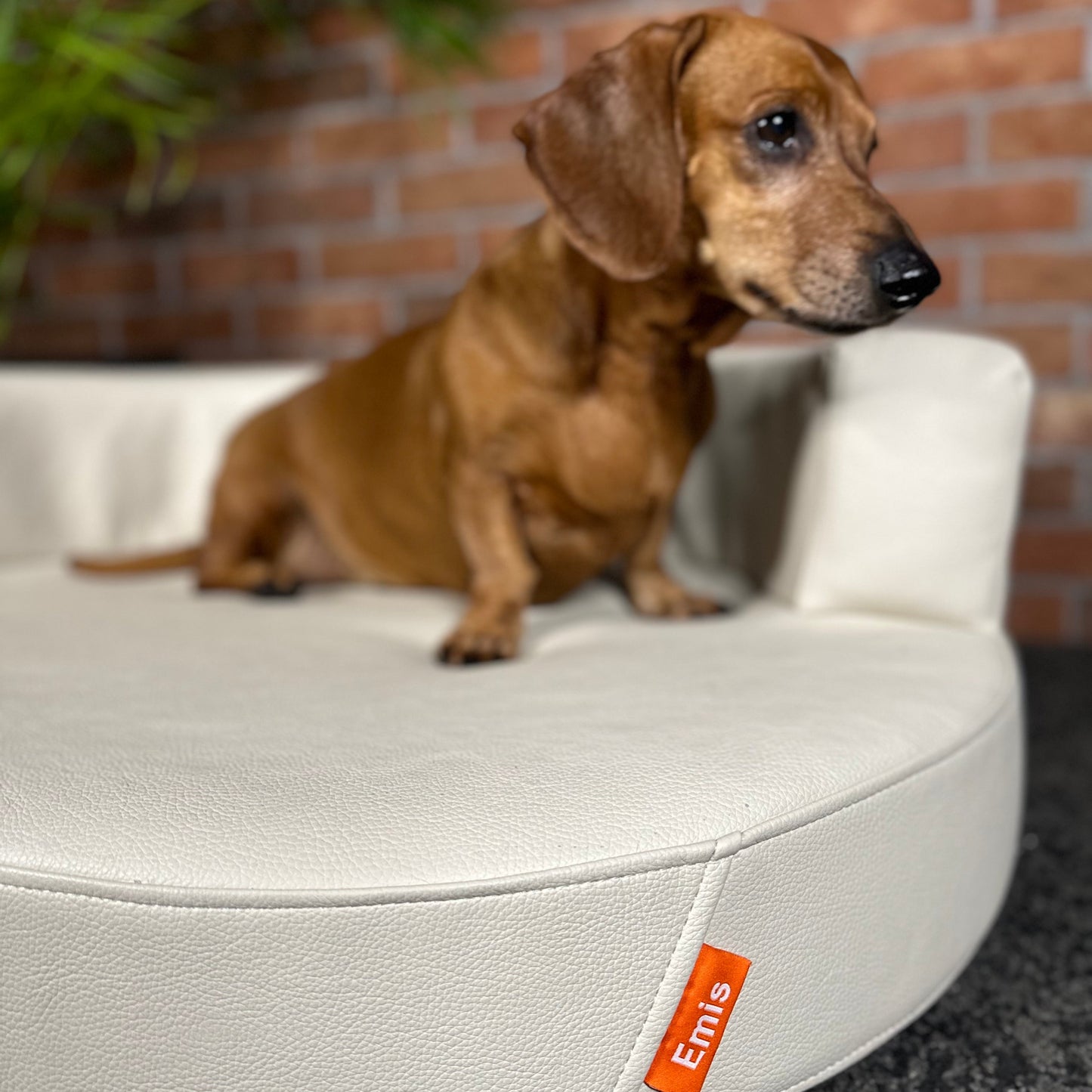 Charlie Eco-Leather Pet Sofa